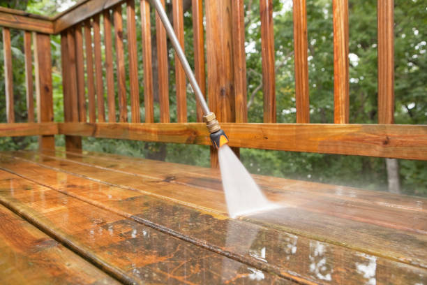 Best Animal Enclosure Cleaning  in Southwest Sandhill, TX
